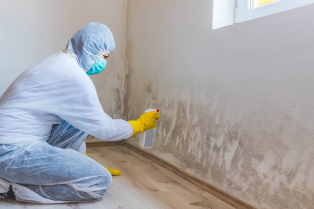 Mold inspector in Radcliff performing thermal imaging